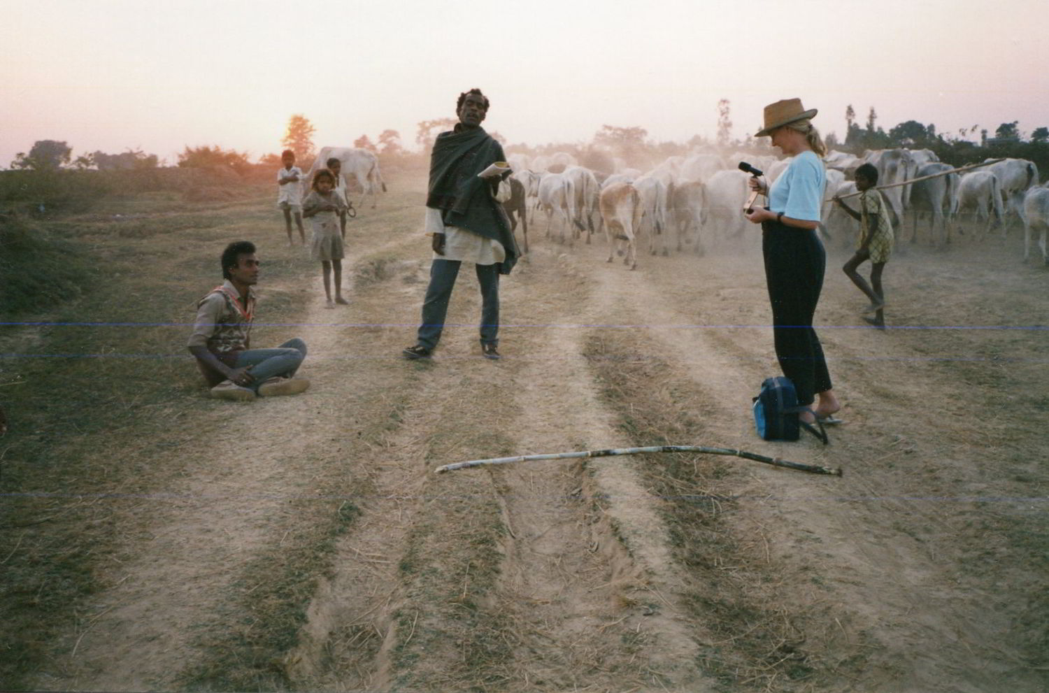 Handspan Theatre Banquet research cattle with agricultural workers in India being photographed by an Australian woman