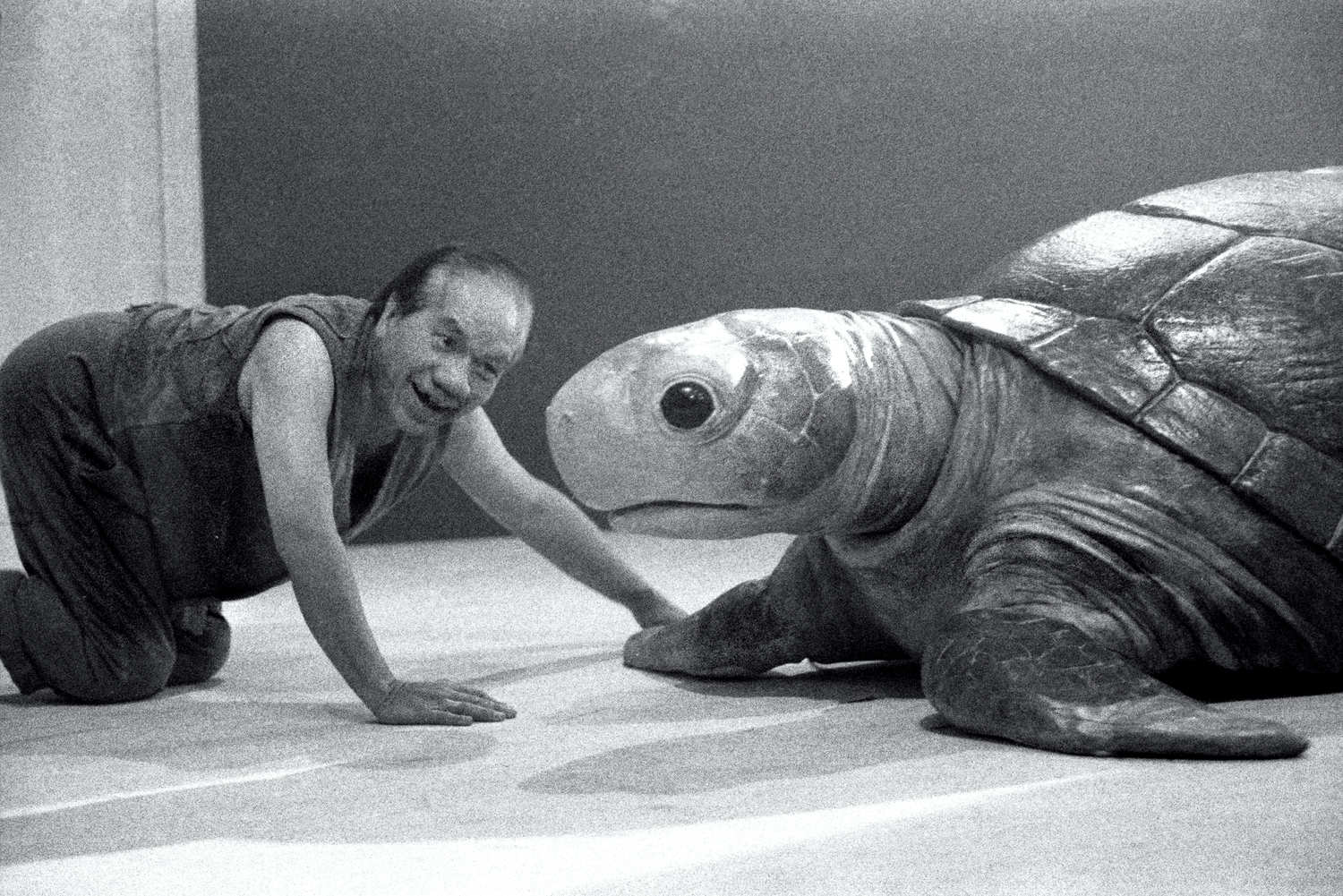 Miss Tanaka Handspan/Playbox production - man crawls towards large lifelike turtle puppet